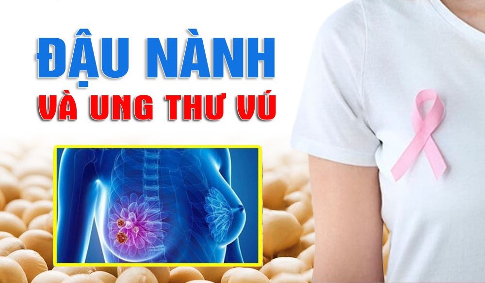 Đậu Nành và Ung Thư Vú