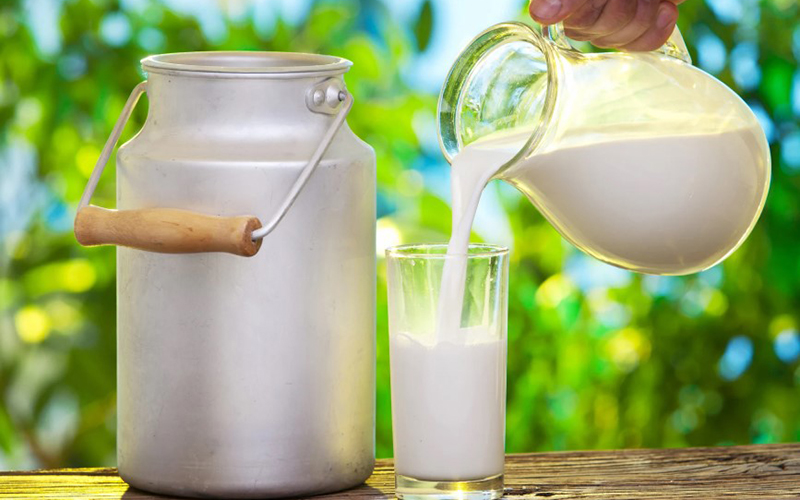 Làm sao uống sữa mà không bị đàm nhớt ở cổ họng gây ho?