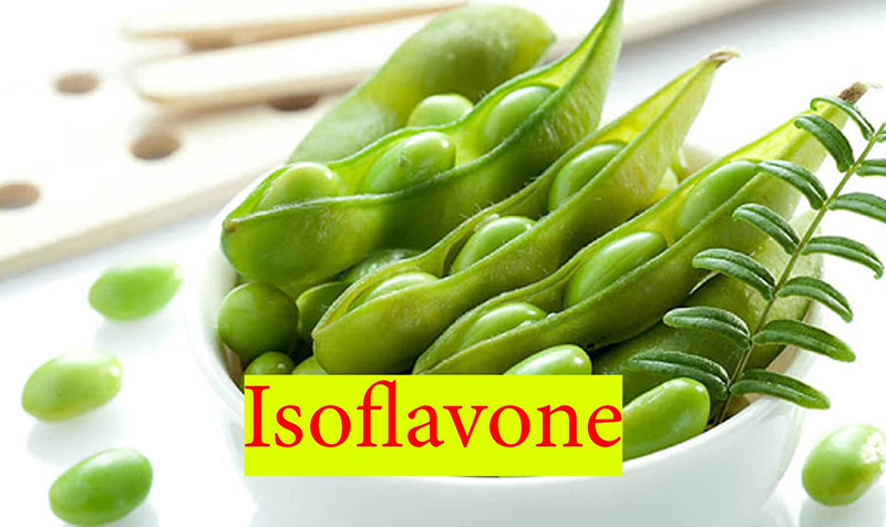 Tác Động Khác Của Isoflavones