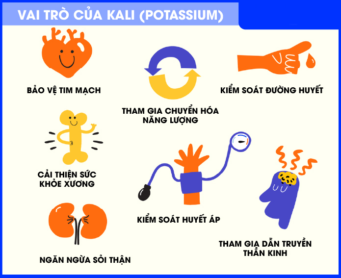 Vai trò của kali